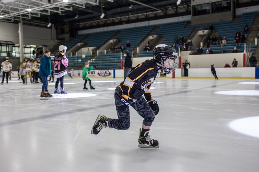 Rochester Grizzlies