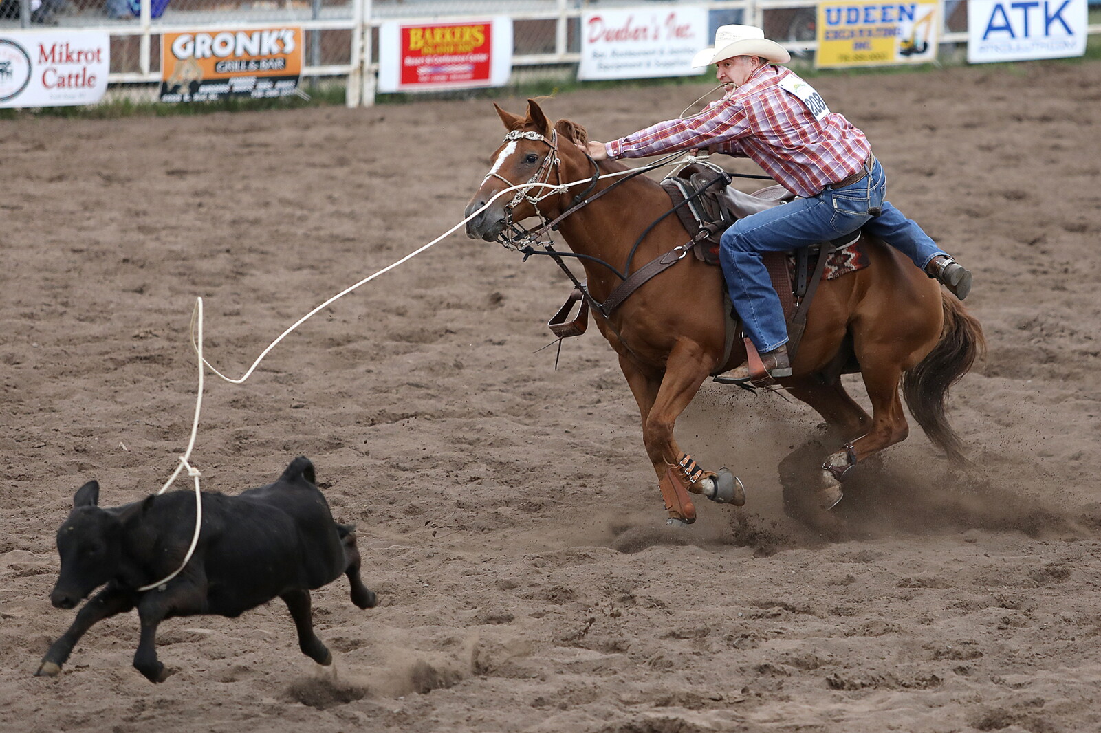 Classic Rodeo Photo gallery: 2019 Great Northern Classic Rodeo in Superior - Duluth ...