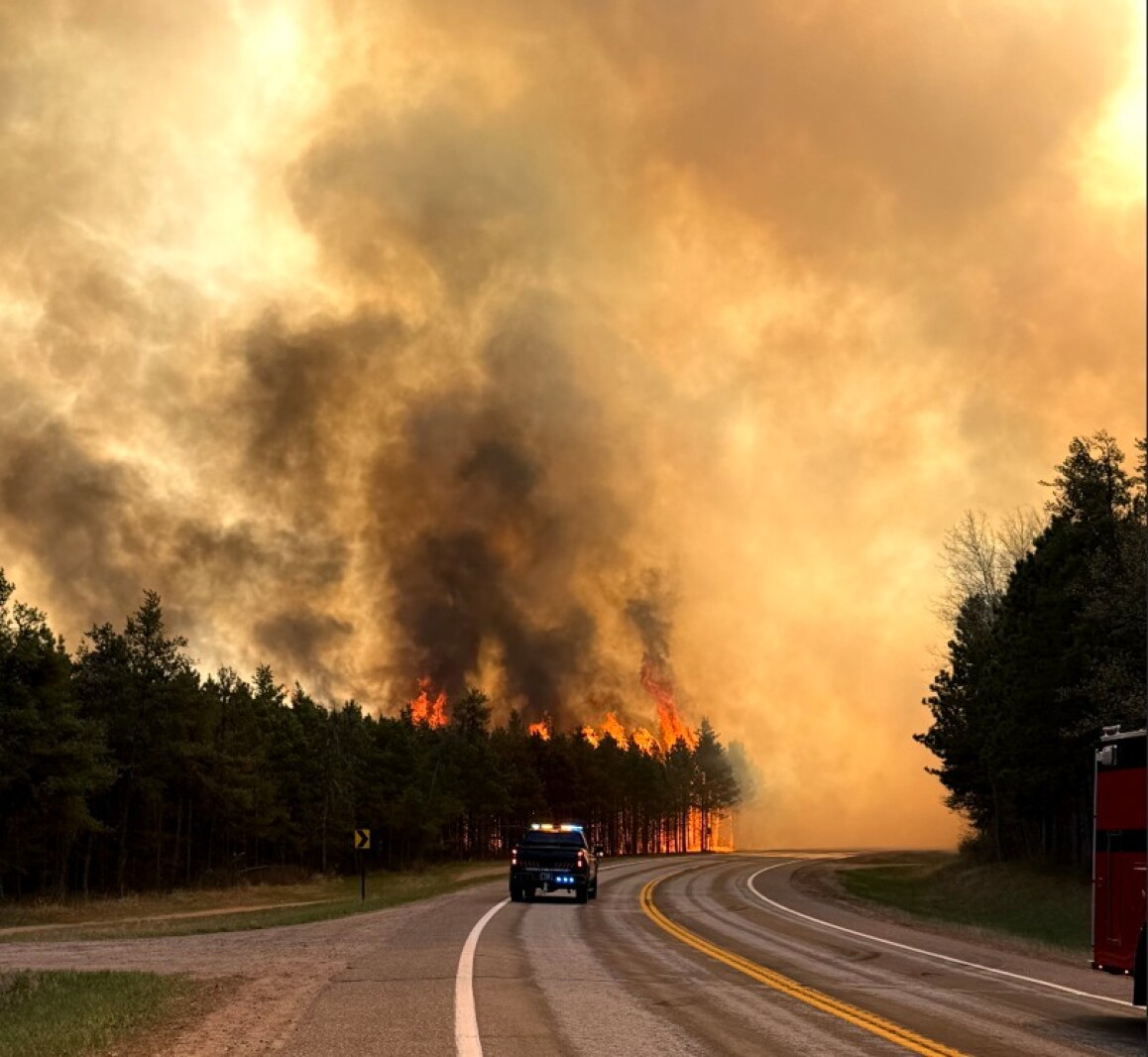 Timber auction set as a result of Flanders Fire