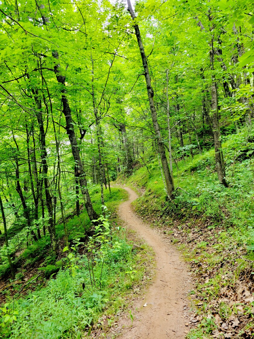 A winding trail is hugged by trees.