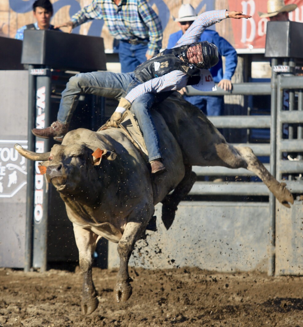 Local talent shines at second annual Shootout at the Lake rodeo ...