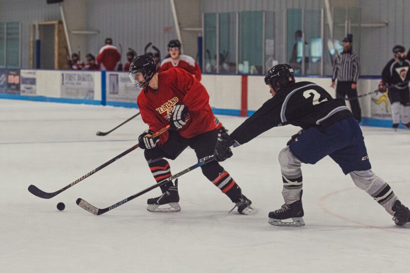 LuckyDevilsAdultHockeyTournament-10.jpg