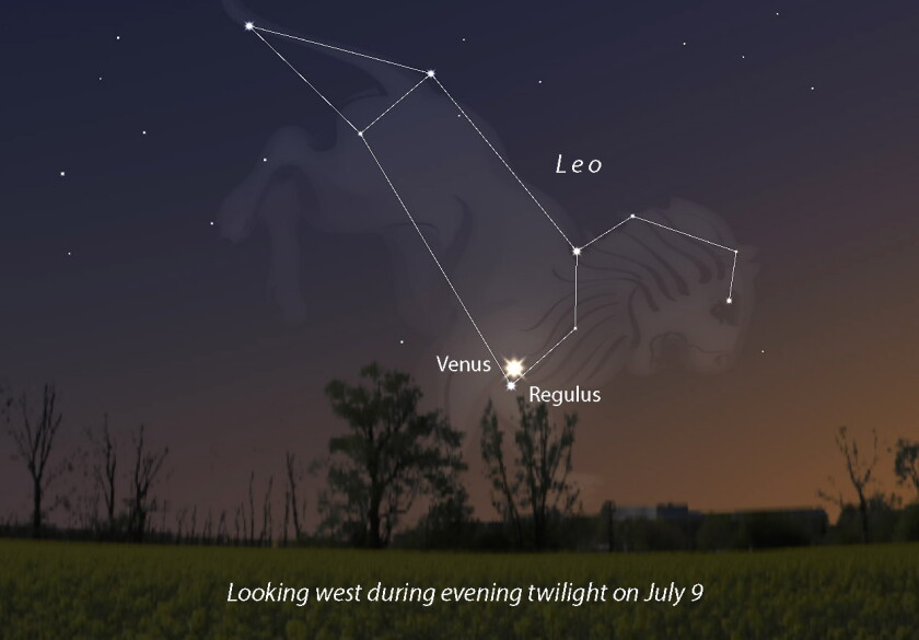 Venus Regulus