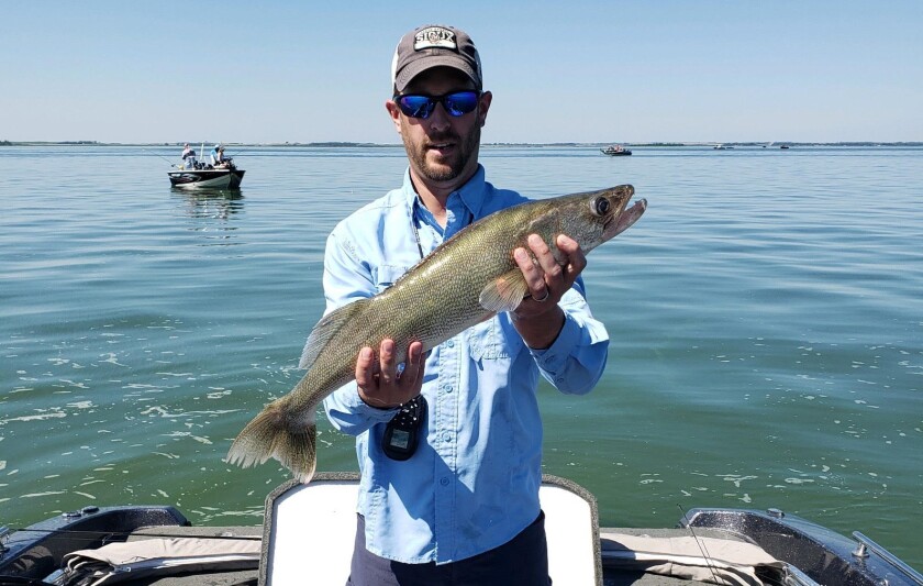 Brian Fedje 27-inch walleye.jpg