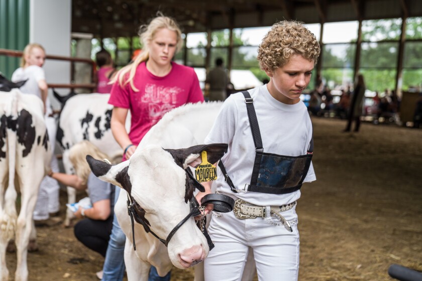 Wabasha County Fair
