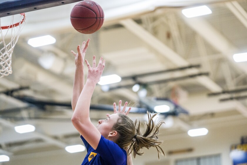 Lourdes, Stewartville girls basketball