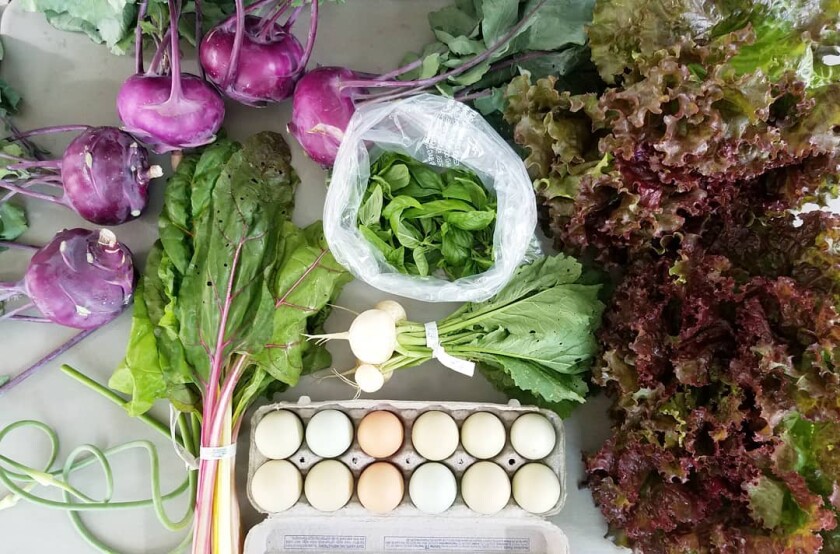 Rising Phoenix Community Farm CSA