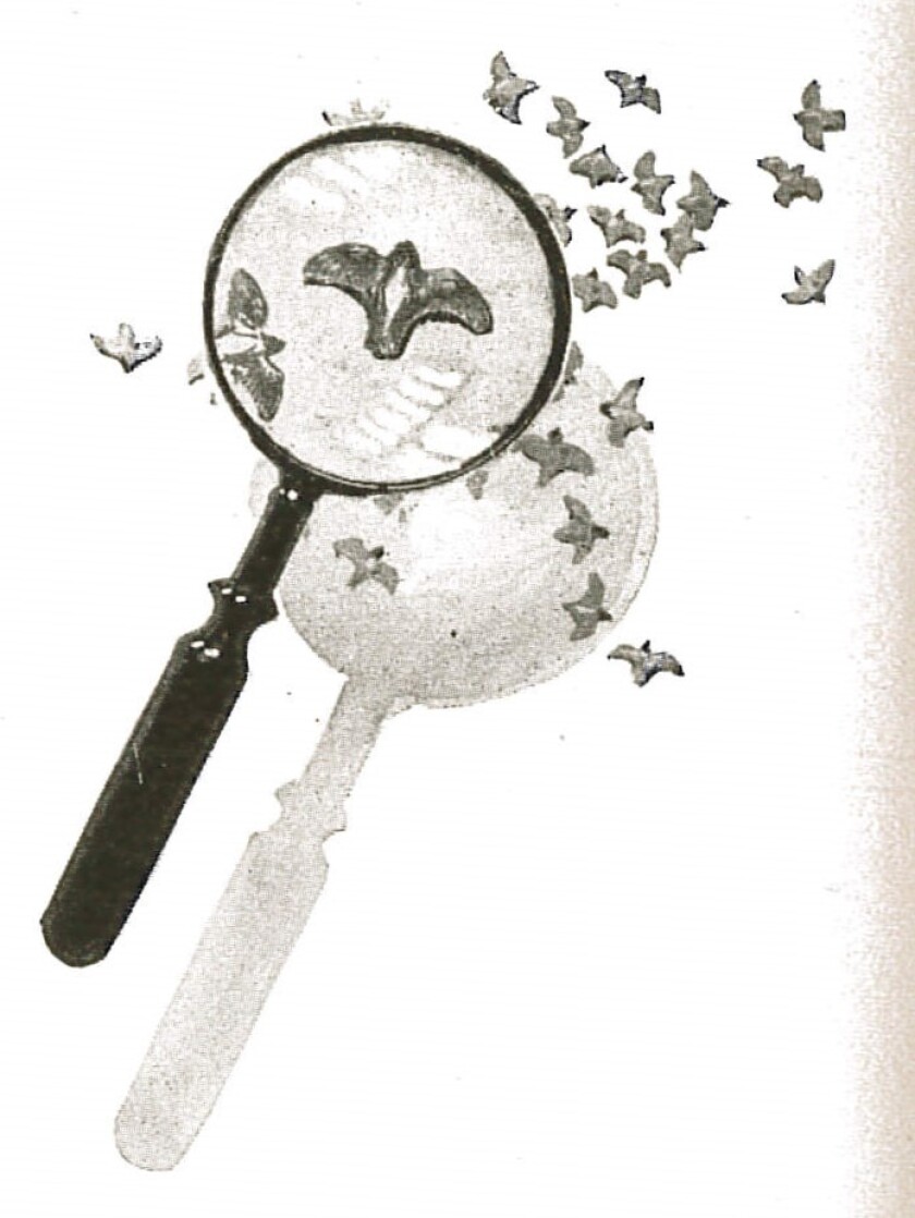 W.H. Gibson illustration