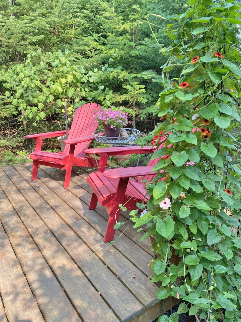 GardenStroll22.PRE.HornDeck.jpg