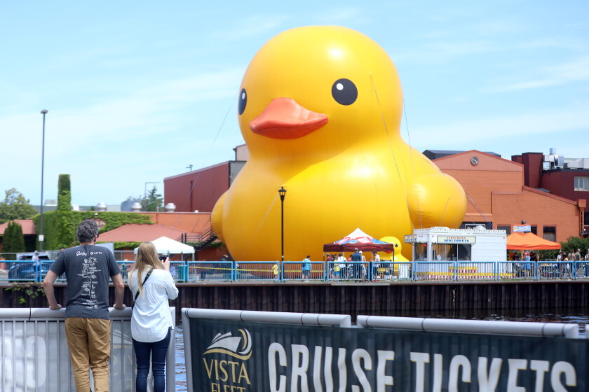 Photos World s Largest Rubber Duck In Duluth For Festival Of Sail photos-world-s-largest-rubber-duck-in-duluth-for-festival-of-sail