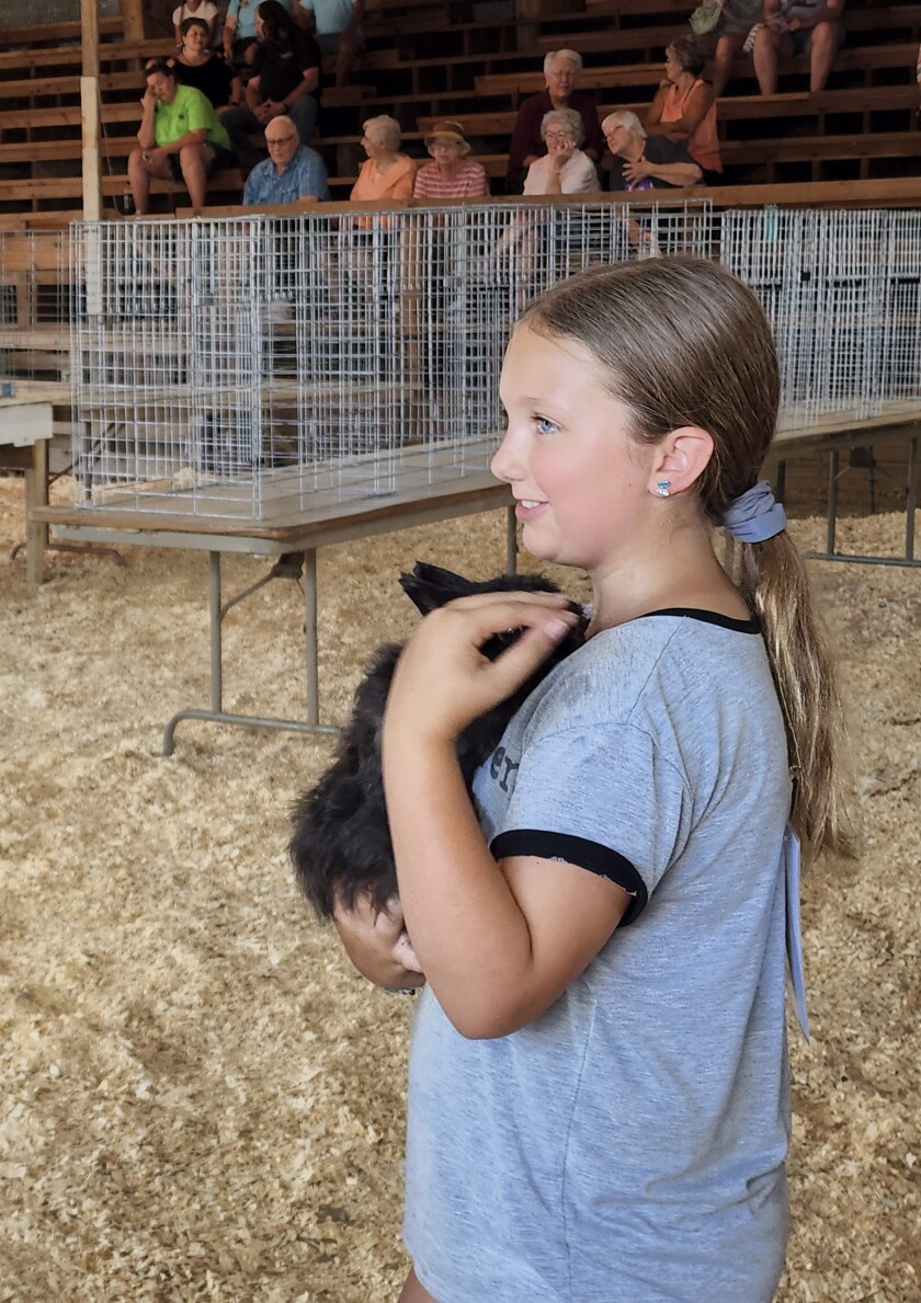 Chloe Snyder, 11, of Windom, shows Snuggles, a Jersey Wooly long-haired rabbit, to the judges in the 4-H Pet Show Wednesday, Aug. 10, 2022, at the Cottonwood County Fair in Windom.