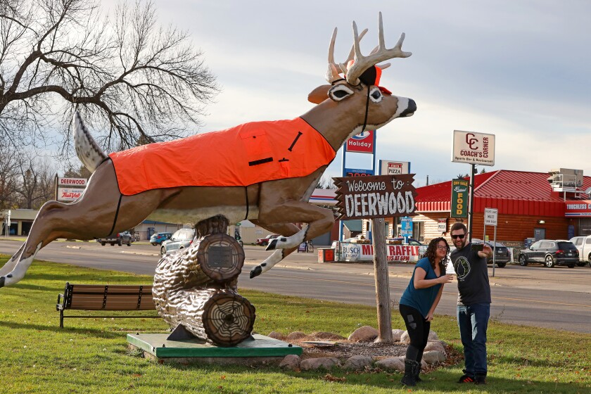 110821.N.BD.DeerwoodDeer1.jpg