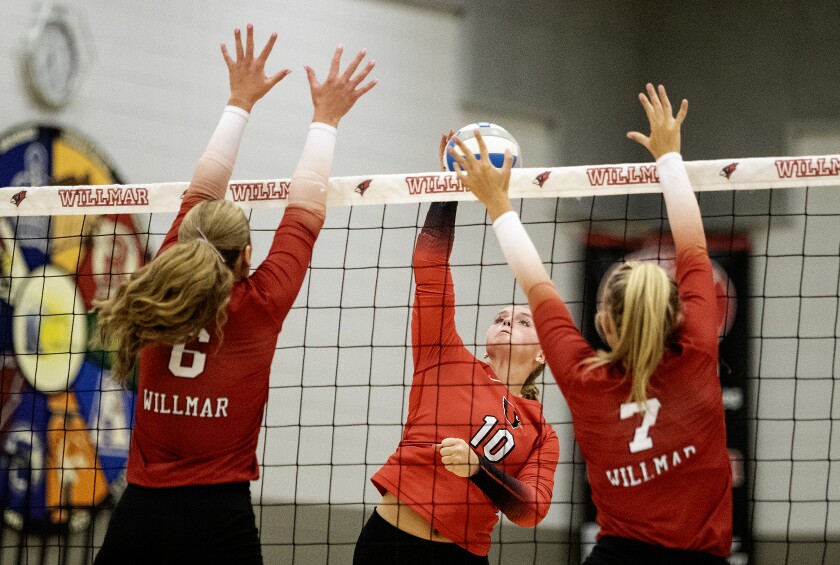 Volleyball roundup: Ranked win eludes Willmar Cardinals - West Central ...