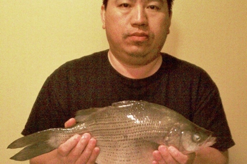 Fish