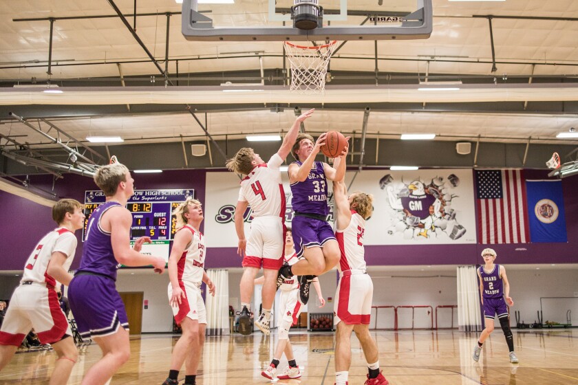 Grand Meadow, LeRoy-Ostrander boys basketball
