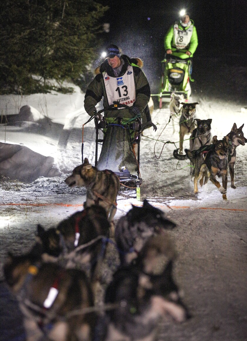 Northern Wisconsin musher seeks another win in 2022 John Beargrease Sled  Dog Marathon - WPR