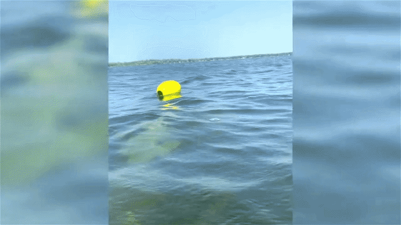 Tornado cleanup shifts beneath Floyd Lake