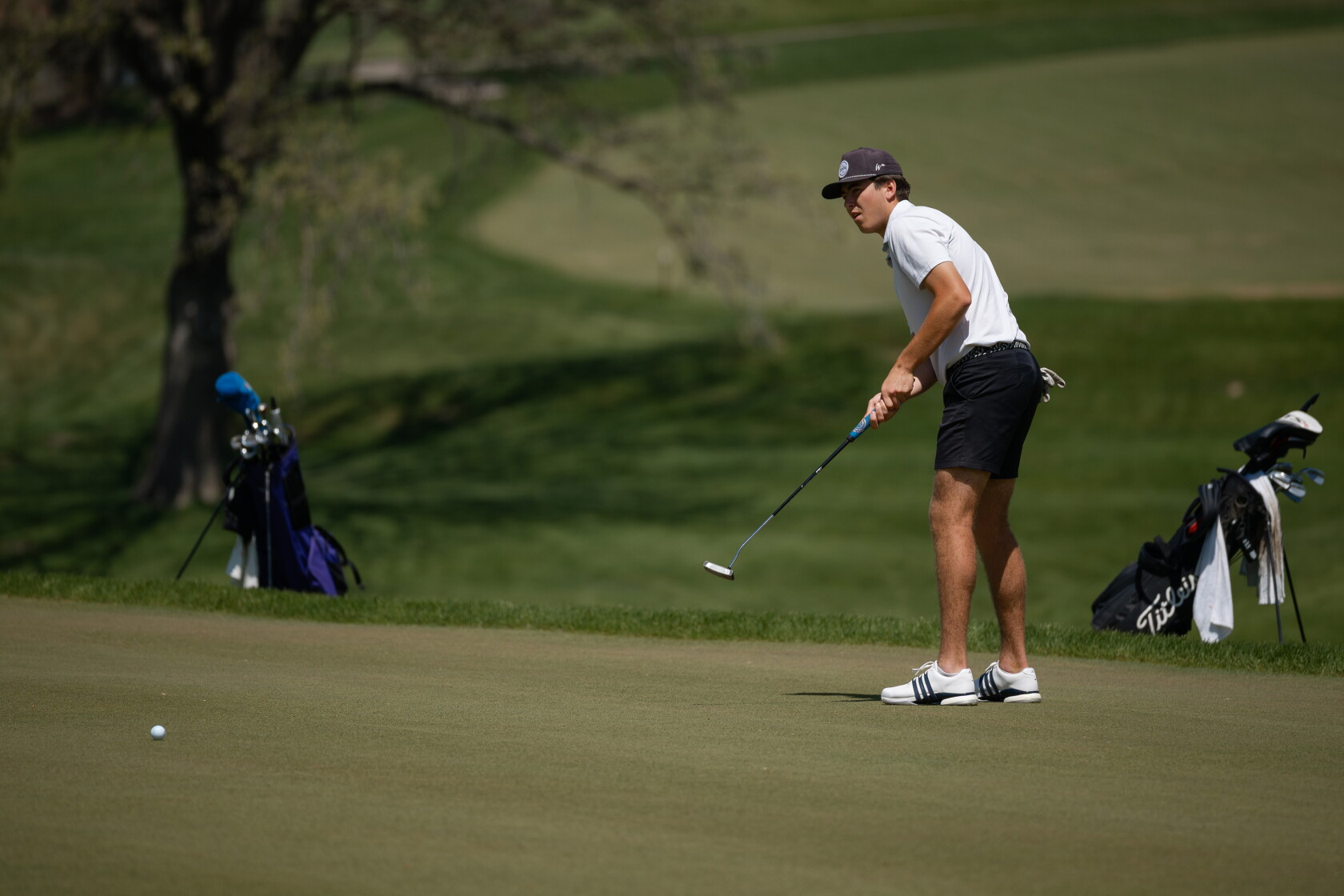 All you need to know about the 2025 Minnesota high school golf state