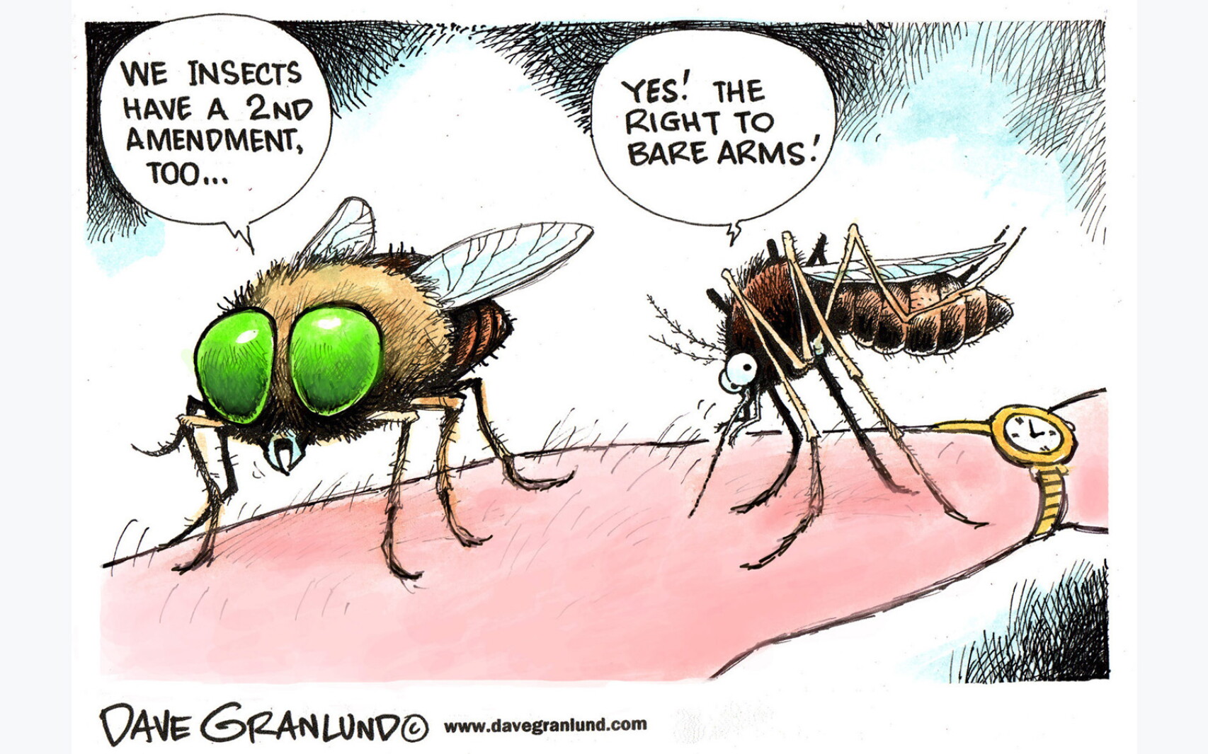 Fly Invasion Cartoon Local View: Plague of black flies gets theirs from boaters - Duluth ...