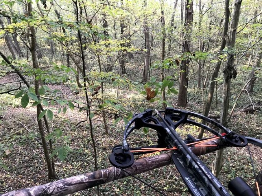 crossbow