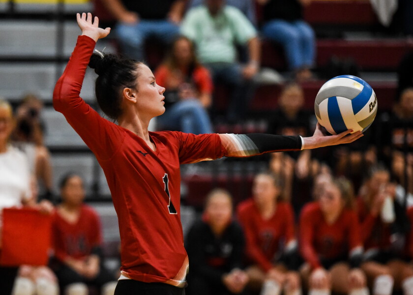 Voleibol: los jóvenes LQPV Eagles consiguen un nuevo entrenador