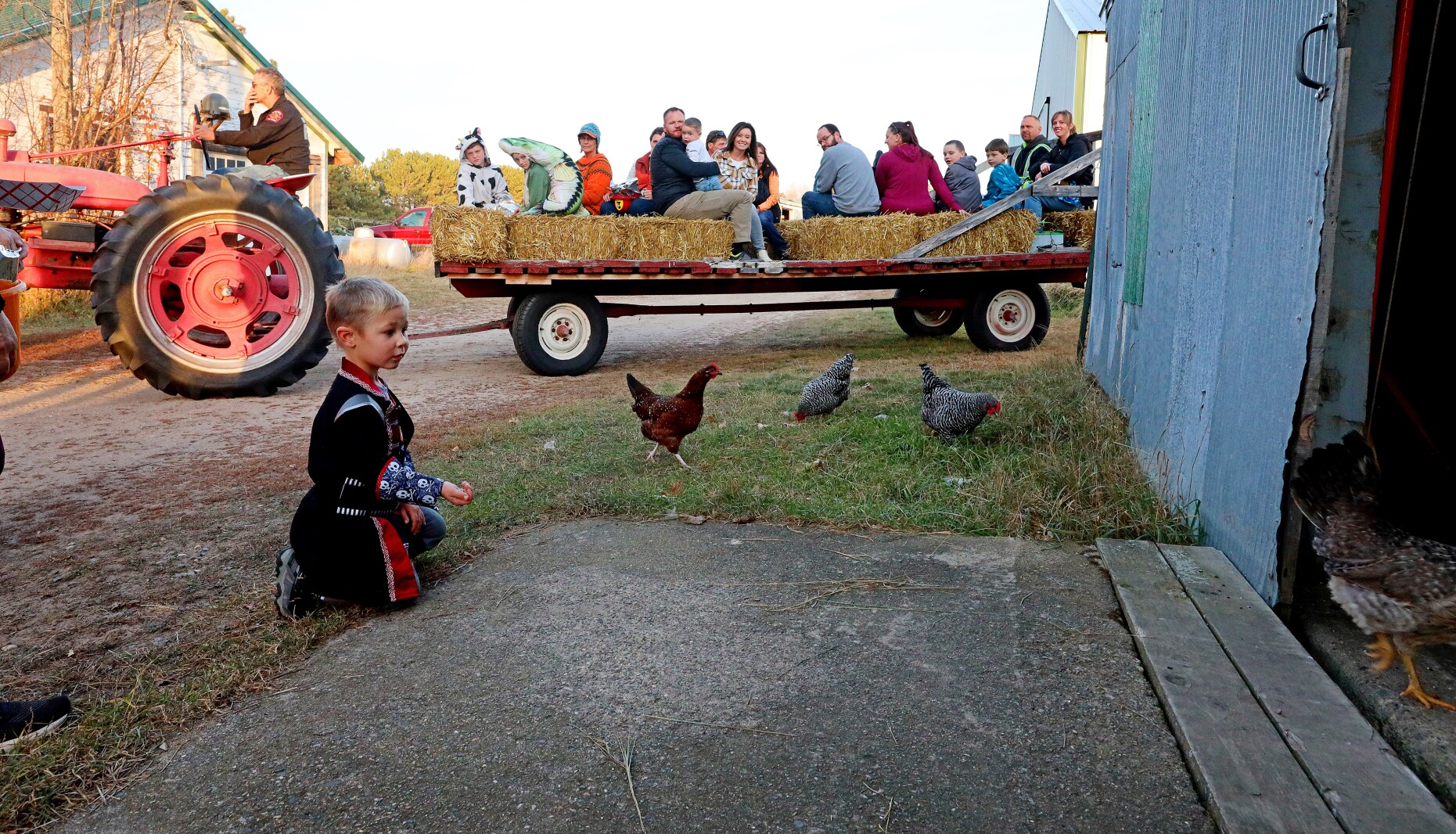 Costumed boy offers food to chickens as a hay ride goes by in the background.