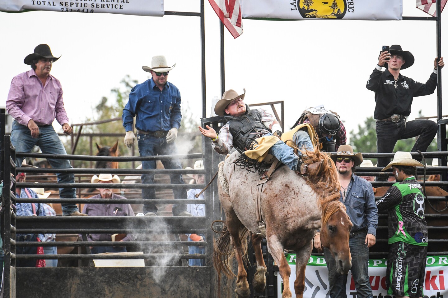 Wojo's Rodeo draws hundreds to Beltrami County Fair - The Bemidji ...