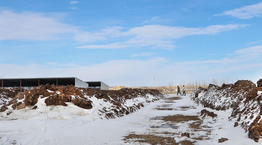 0030121.AG.LivestockCompostingManure06.jpg