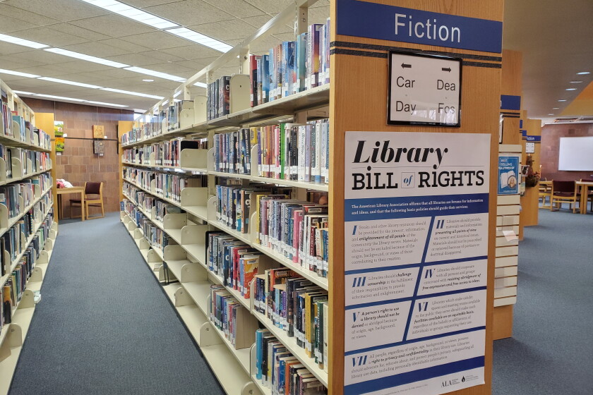 Krueger Library Kristin Hannah, Kent Krueger top 2024 local library checkouts ...