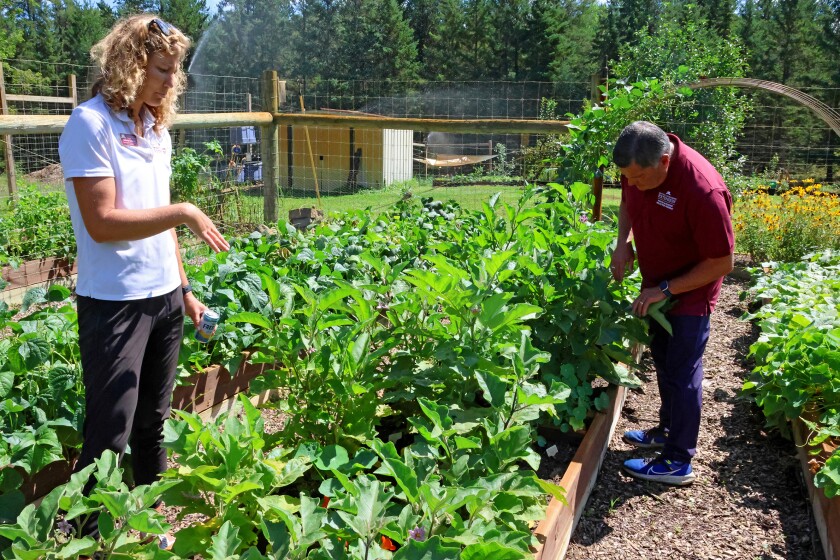 Crow Wing County Master Gardeners Brittany Goerges, left, and Dan Lee talk about the Community Giving area on Wednesday, Aug. 20, 2025, at the Northland Arboretum during the Master Gardener Volunteer Open House.