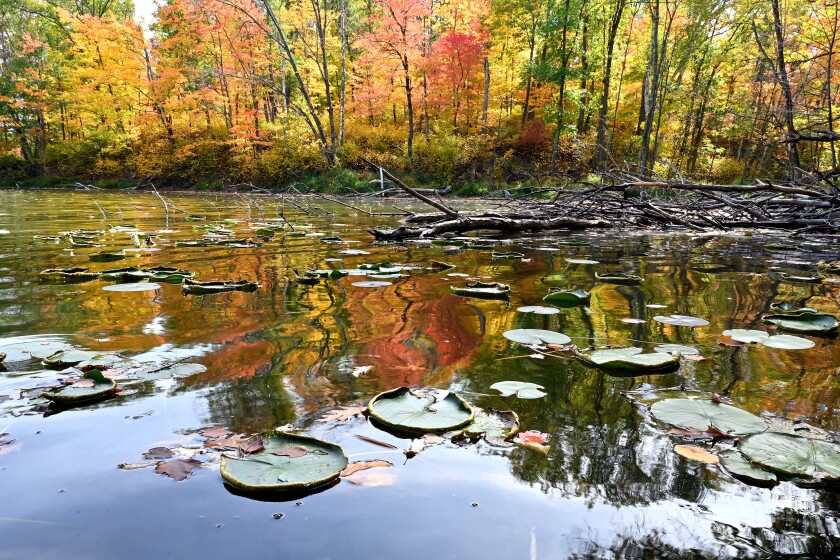 093021.N.BD.Beautylakearea1.jpg