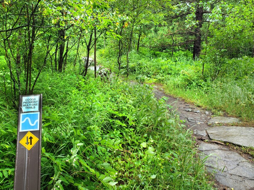 071021.O.DNT.happytrails 3.jpg