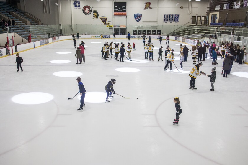 Rochester Grizzlies