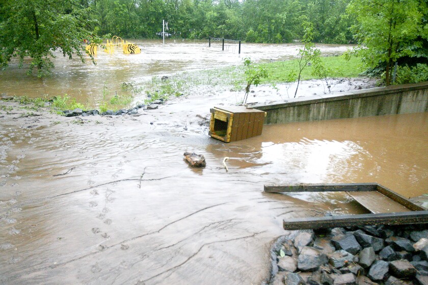 Floodwaters cover a wooded area with a fallen, unreadable sign in the foreground and a partially submerged yellow playground in the background