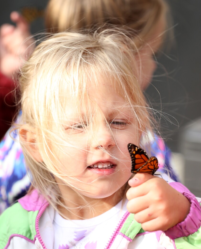 butterfly release reagan 092122.jpg