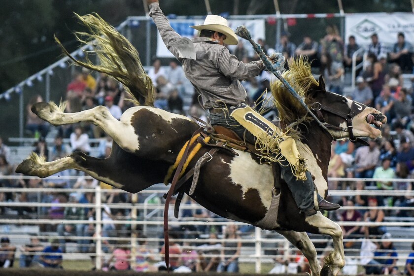 Photos from the final night of the Corn Palace Stampede Rodeo ...