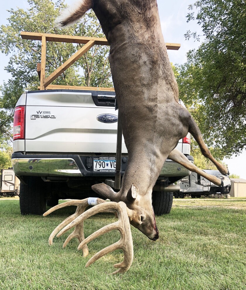 Buck 5151.jpg