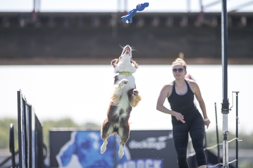 073022 CatsIncredible3.jpg