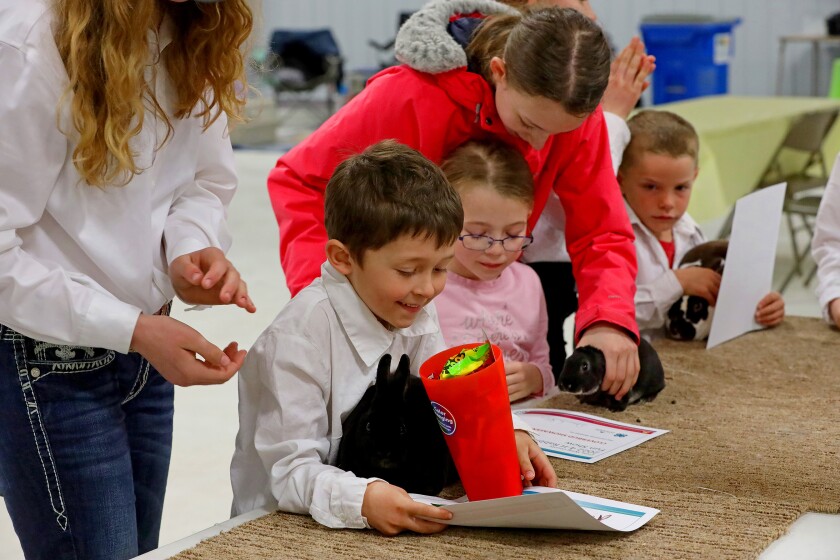 The 14th annual 4-H rabbit fun show and workshop judging Saturday, April 30, 2022, at the Crow Wing County Fairgrounds.