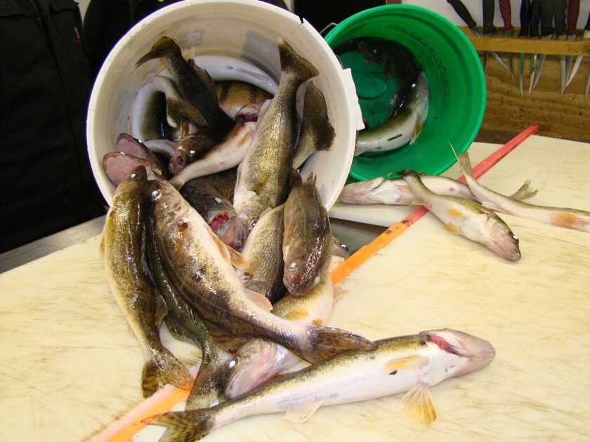 Ice fishing.jpg