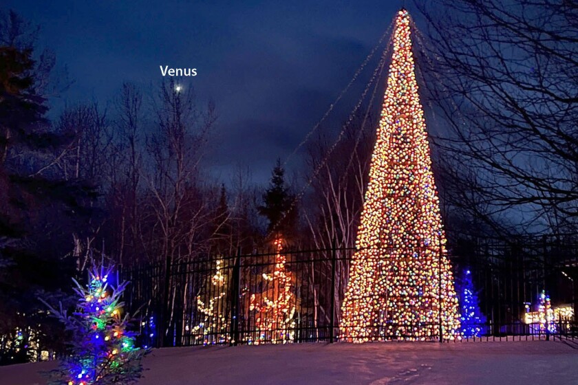 Christmas with Venus