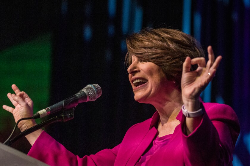 Minnesota DFL State Convention