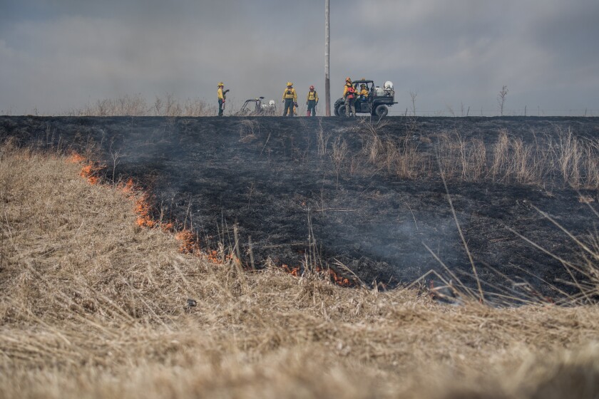 MnDot Prescribed Burn