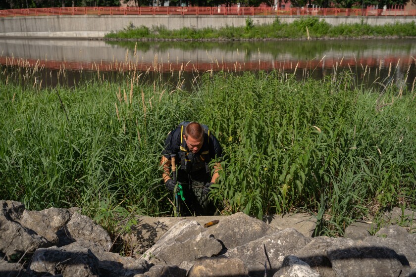 Downtown Rochester River Cleanup