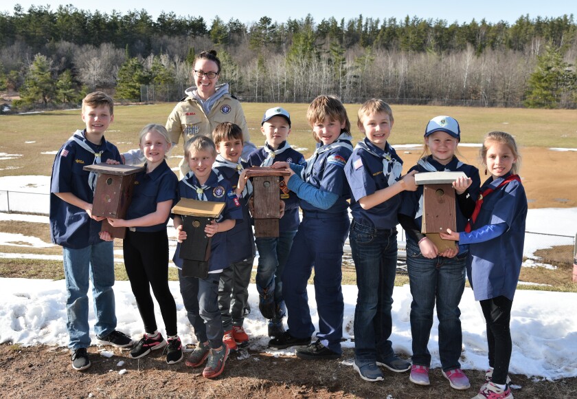 May art Solon cub scouts.jpg