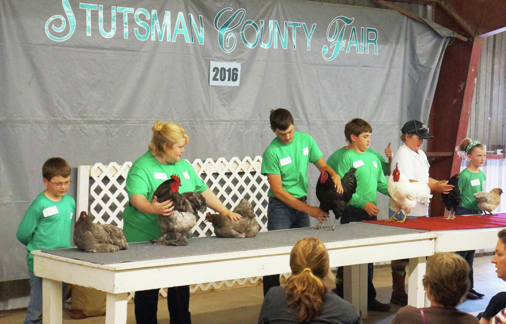 Stutsman County Fair is the culmination of the 4H Jamestown Sun
