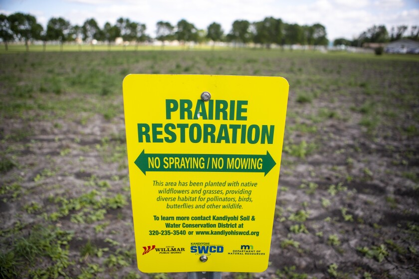 Signage identifying a plot of prairie restoration land within the Swansson Field Recreational Complex in Willmar on Thursday, June 16, 2022.