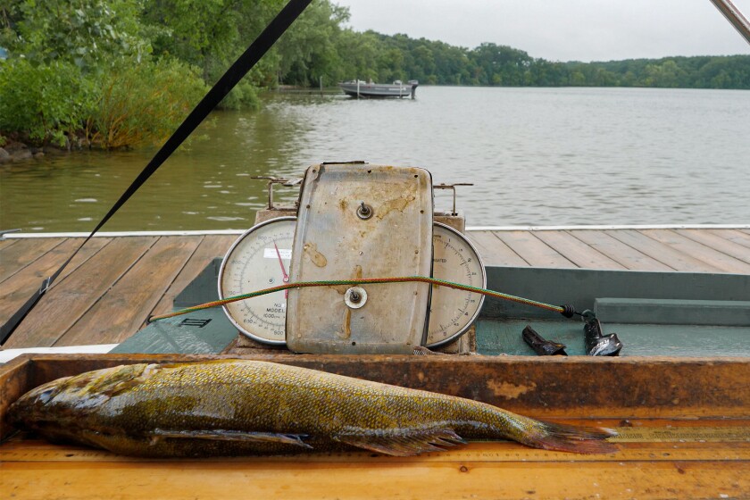 DNR.7_072622