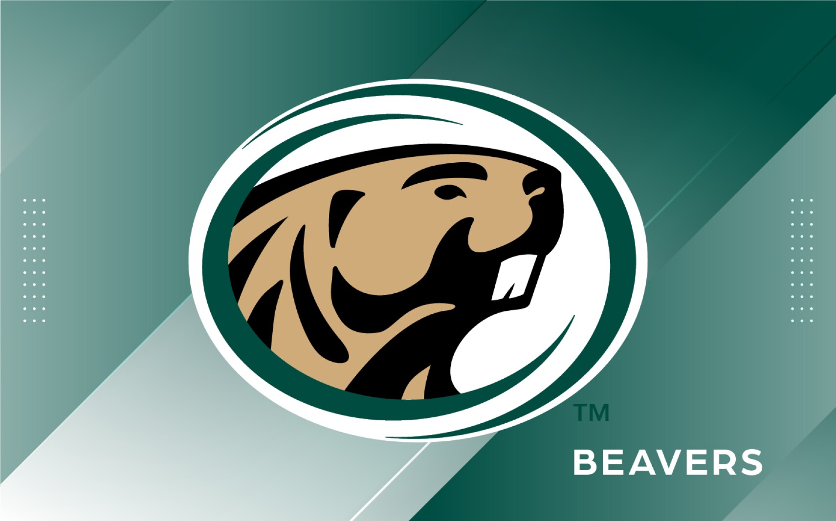Bemidji State takes 23rd at NCAA Central Region Championships bemidji-state-takes-23rd-at-ncaa-central-region-championships