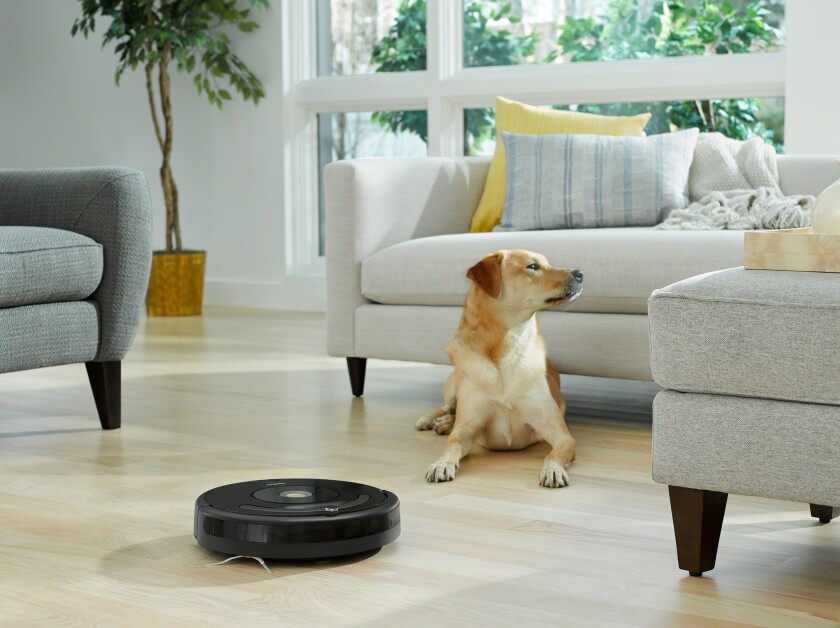 Roomba 675 on the floor by a dog in a living room.